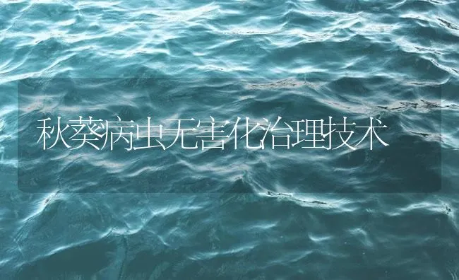 秋葵病虫无害化治理技术 | 海水养殖技术