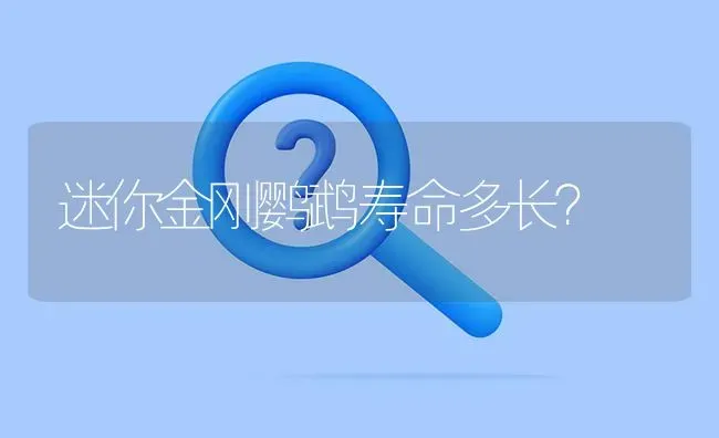 迷你金刚鹦鹉寿命多长？ | 鱼类宠物饲养