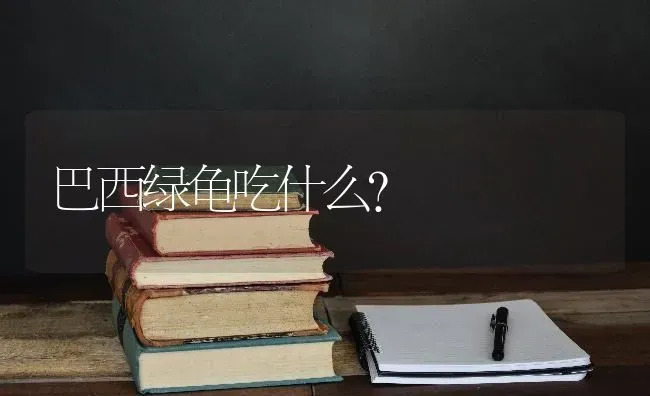 巴西绿龟吃什么？ | 动物养殖问答