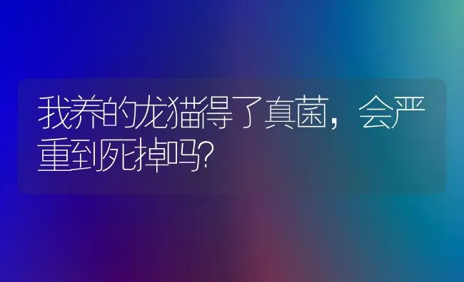 黄头侧颈龟总是漂在水面上，而且是侧着身体，这正常吗，难道名字中的侧颈指的就是这？ | 动物养殖问答