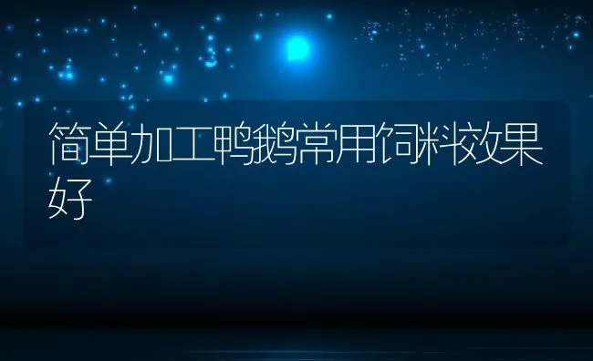 简单加工鸭鹅常用饲料效果好 | 动物养殖学堂