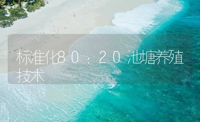 标准化80：20池塘养殖技术 | 海水养殖技术