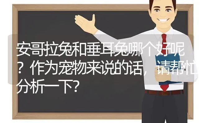 安哥拉兔和垂耳兔哪个好呢？作为宠物来说的话，请帮忙分析一下？ | 动物养殖问答