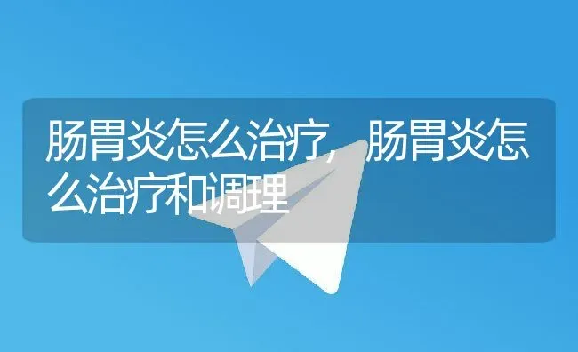 肠胃炎怎么治疗,肠胃炎怎么治疗和调理 | 宠物百科知识