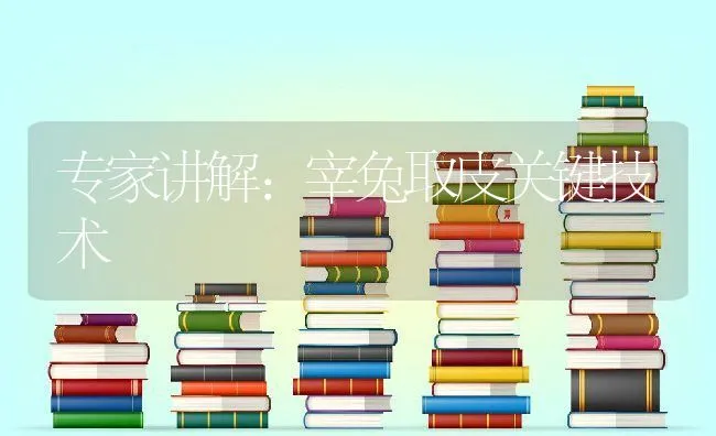 专家讲解：宰兔取皮关键技术 | 动物养殖学堂