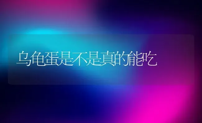 乌龟蛋是不是真的能吃 | 动物养殖百科