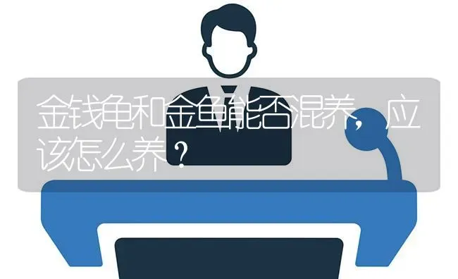 金钱龟和金鱼能否混养，应该怎么养？ | 鱼类宠物饲养