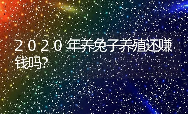 2020年养兔子养殖还赚钱吗？ | 动物养殖百科