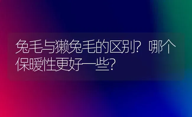 兔毛与獭兔毛的区别?哪个保暖性更好一些？ | 动物养殖问答