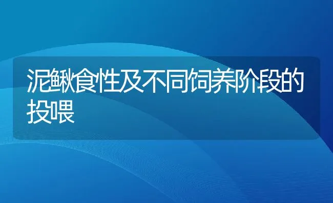 泥鳅食性及不同饲养阶段的投喂 | 动物养殖饲料