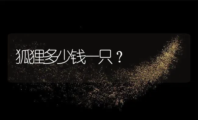 狐狸多少钱一只？ | 动物养殖百科