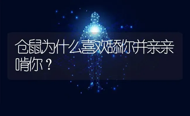 仓鼠为什么喜欢舔你并亲亲啃你？ | 动物养殖问答