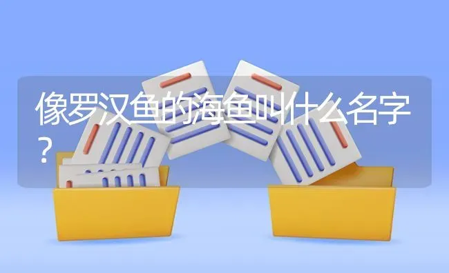 像罗汉鱼的海鱼叫什么名字？ | 鱼类宠物饲养