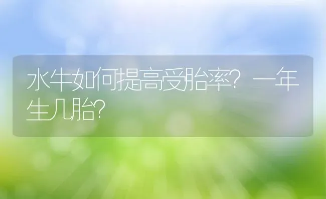 水牛如何提高受胎率？一年生几胎？ | 动物养殖百科