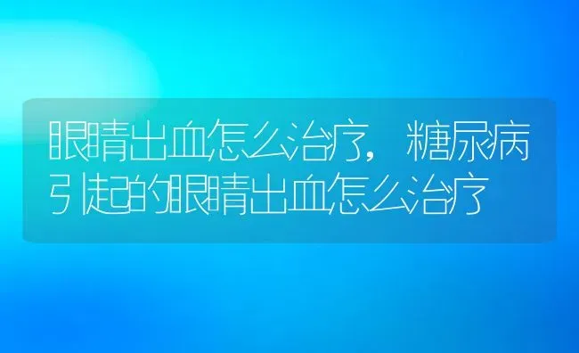 眼睛出血怎么治疗,糖尿病引起的眼睛出血怎么治疗 | 宠物百科知识