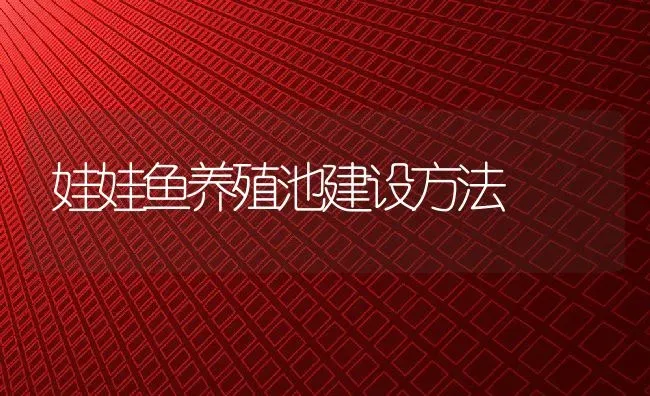 娃娃鱼养殖池建设方法 | 动物养殖教程