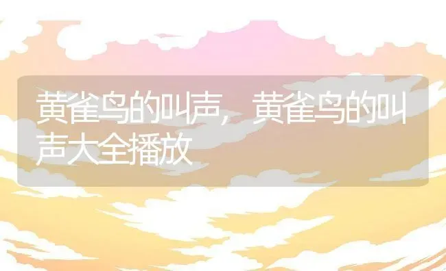 黄雀鸟的叫声,黄雀鸟的叫声大全播放 | 宠物百科知识