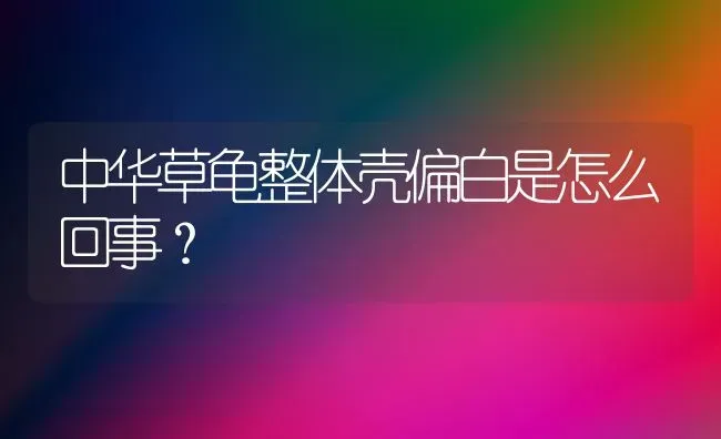 中华草龟整体壳偏白是怎么回事？ | 动物养殖问答