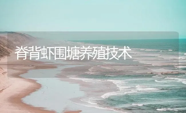 脊背虾围塘养殖技术 | 海水养殖技术