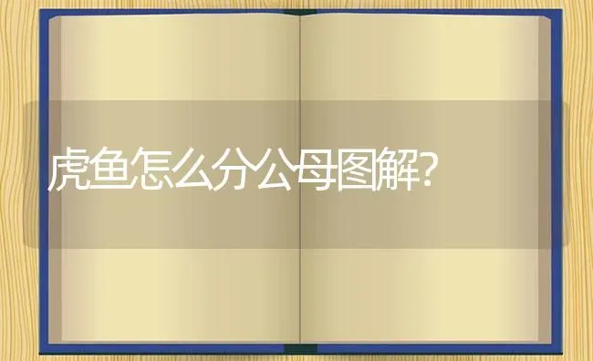 虎鱼怎么分公母图解？ | 鱼类宠物饲养