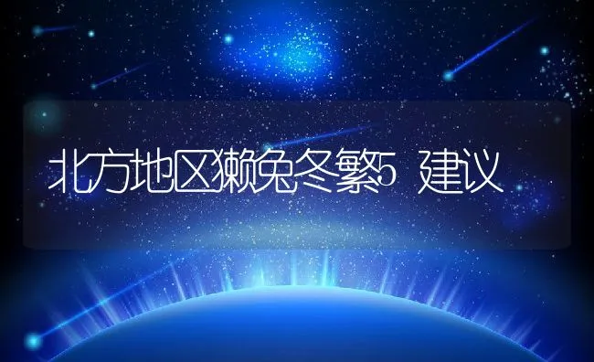 北方地区獭兔冬繁5建议 | 动物养殖学堂