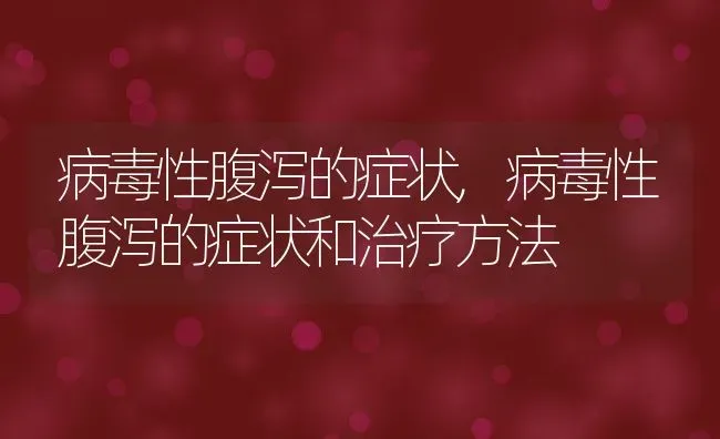 病毒性腹泻的症状,病毒性腹泻的症状和治疗方法 | 宠物百科知识