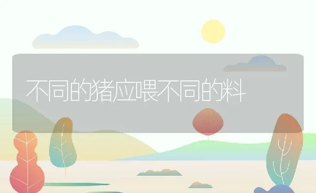 成鱼池中适合混养少量小乌鲤 | 海水养殖技术