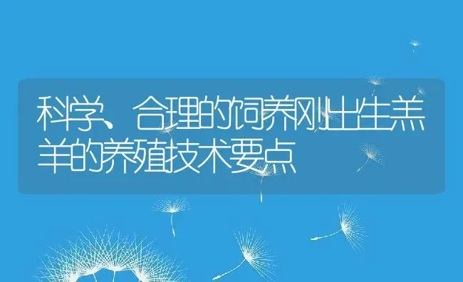 科学、合理的饲养刚出生羔羊的养殖技术要点 | 动物养殖百科