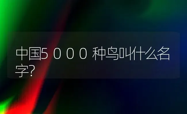 长得像金毛的大型犬？ | 动物养殖问答