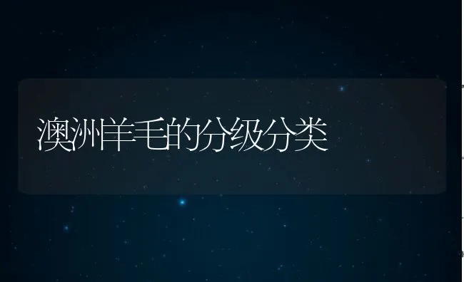 澳洲羊毛的分级分类 | 动物养殖学堂