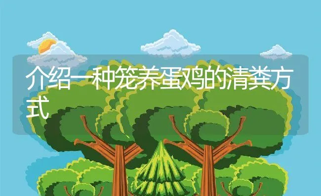 介绍一种笼养蛋鸡的清粪方式 | 水产养殖知识