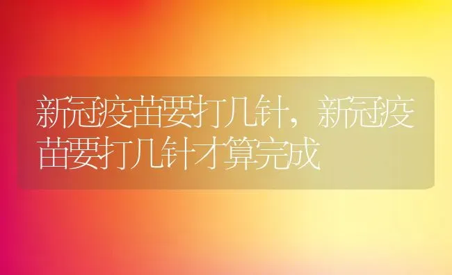 新冠疫苗要打几针,新冠疫苗要打几针才算完成 | 宠物百科知识