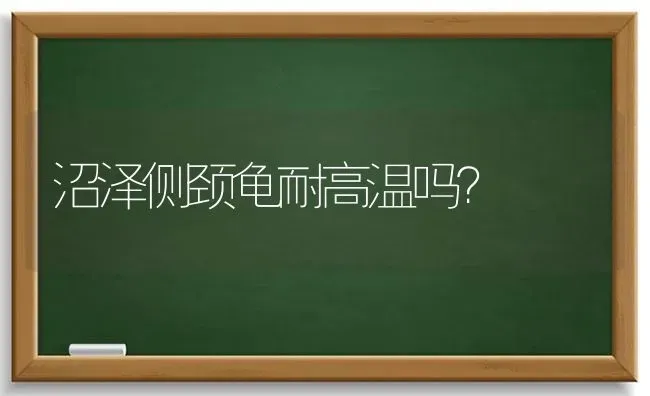 九个月的德牧怎么训练？ | 动物养殖问答