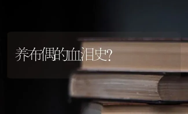 养布偶的血泪史？ | 动物养殖问答