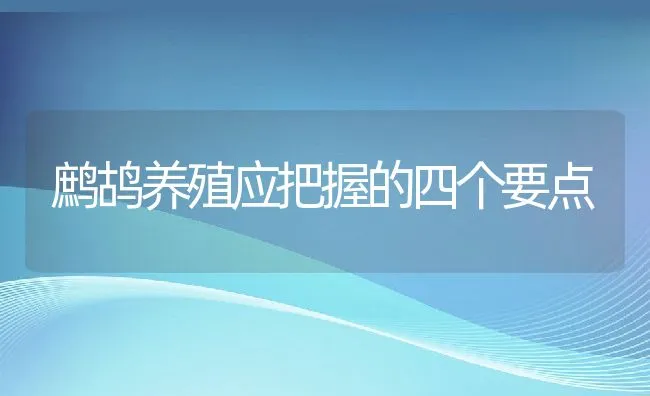 鹧鸪养殖应把握的四个要点 | 水产养殖知识