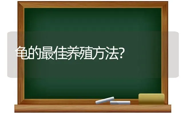 龟的最佳养殖方法？ | 动物养殖问答