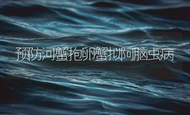 预防河蟹抱卵蟹拟阿脑虫病 | 海水养殖技术