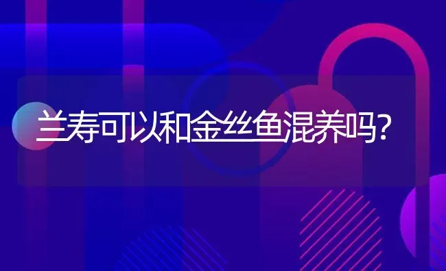 兰寿可以和金丝鱼混养吗？ | 鱼类宠物饲养