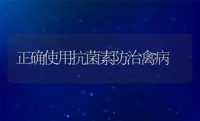 正确使用抗菌素防治禽病 | 动物养殖学堂