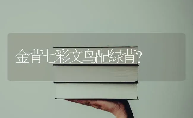 两个月大的猫咪的训养方法是什么？ | 动物养殖问答