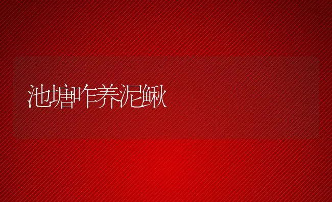 池塘咋养泥鳅 | 动物养殖饲料