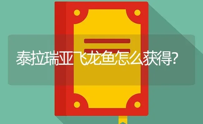 泰拉瑞亚飞龙鱼怎么获得？ | 鱼类宠物饲养