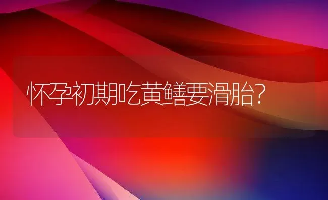 怀孕初期吃黄鳝要滑胎？ | 动物养殖百科