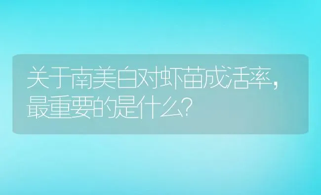 关于南美白对虾苗成活率，最重要的是什么？ | 动物养殖百科