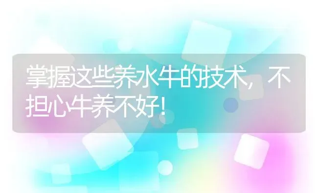 掌握这些养水牛的技术，不担心牛养不好！ | 动物养殖百科