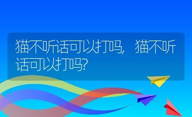 猫不听话可以打吗,猫不听话可以打吗? | 宠物百科知识