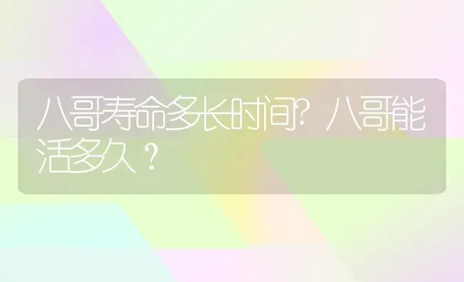 八哥寿命多长时间?八哥能活多久？ | 动物养殖问答