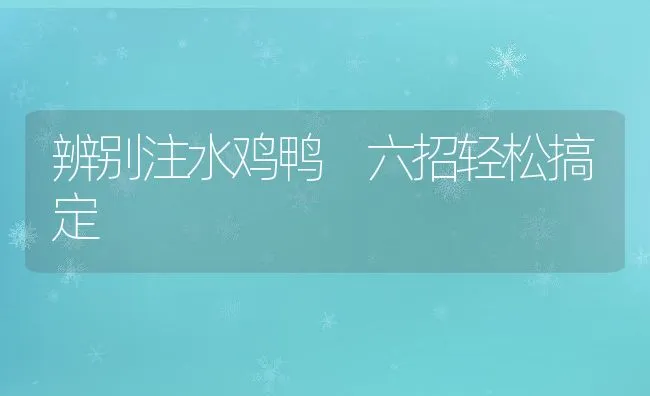 小麦饲料令肉猪瘦肉率更高？ | 动物养殖学堂