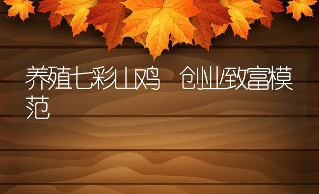 养殖七彩山鸡 创业致富模范 | 动物养殖教程