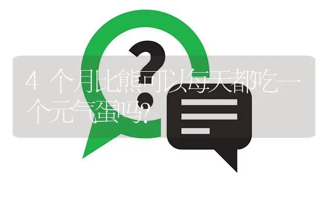 4个月比熊可以每天都吃一个元气蛋吗？ | 动物养殖问答